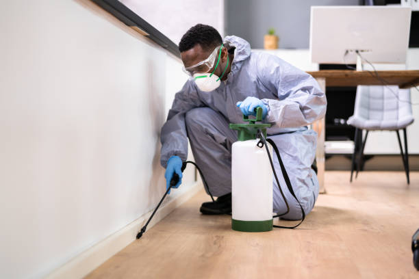 Best Fumigation Services  in Harris Hill, NY